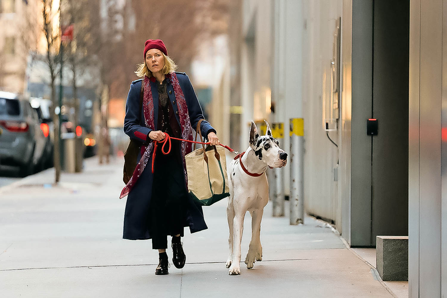 Film: Naomi Watts takes the lead... and more