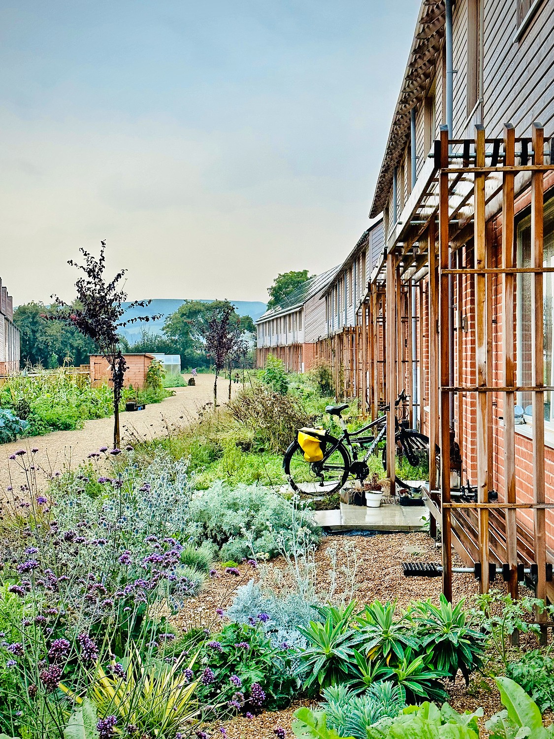 Review: Hazelmead, Dorset – the UK’s largest co-housing project | The ...