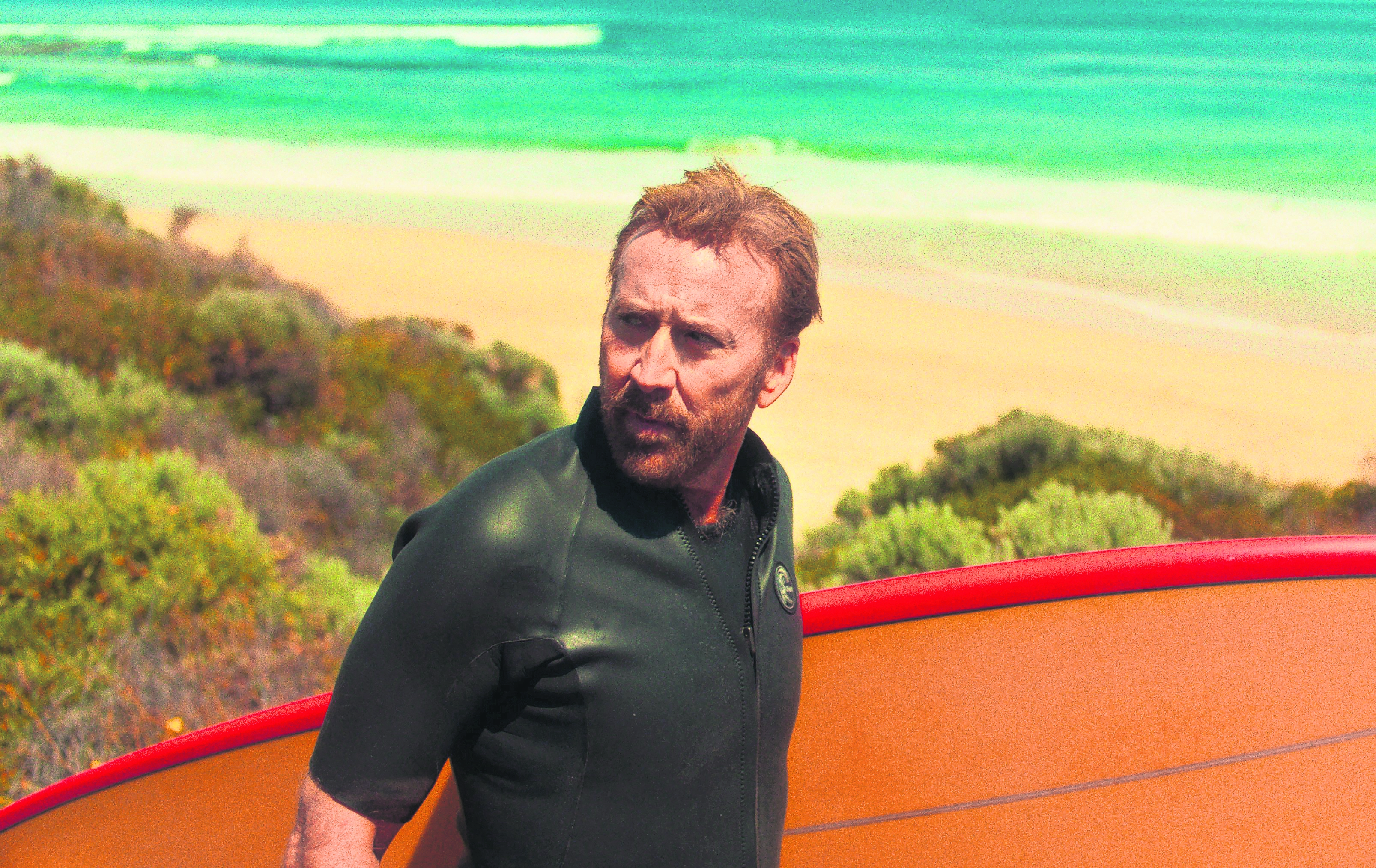 Surf’s up: Nicolas Cage in ‘brilliantly trashy’ beach thriller