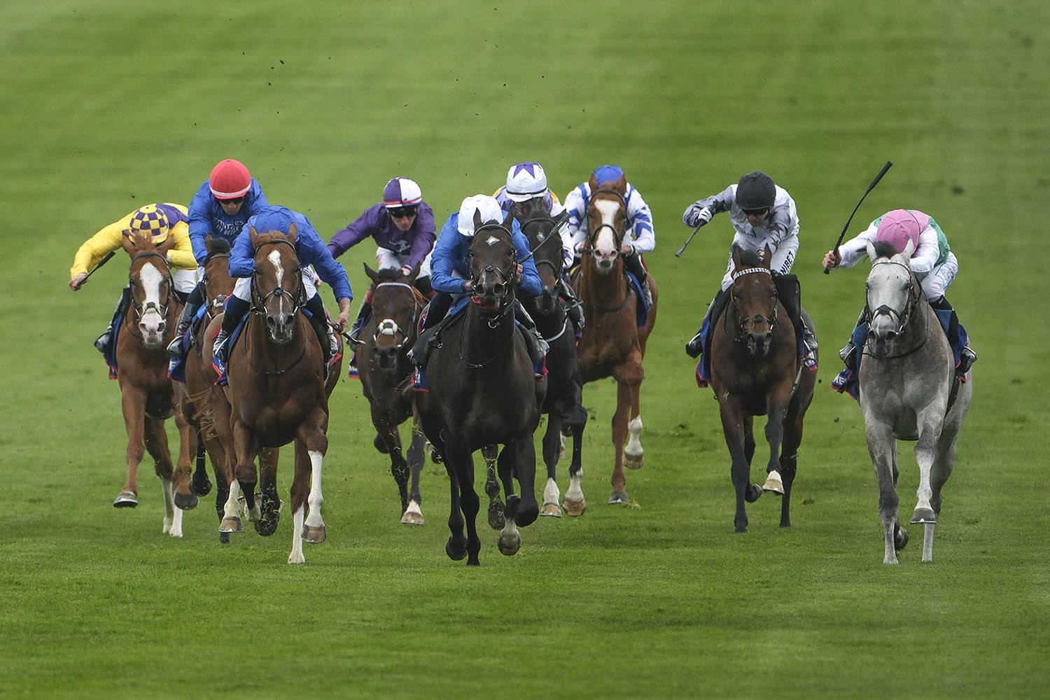 Dropped, substituted, sacked: sport’s three horsemen of the apocalypse