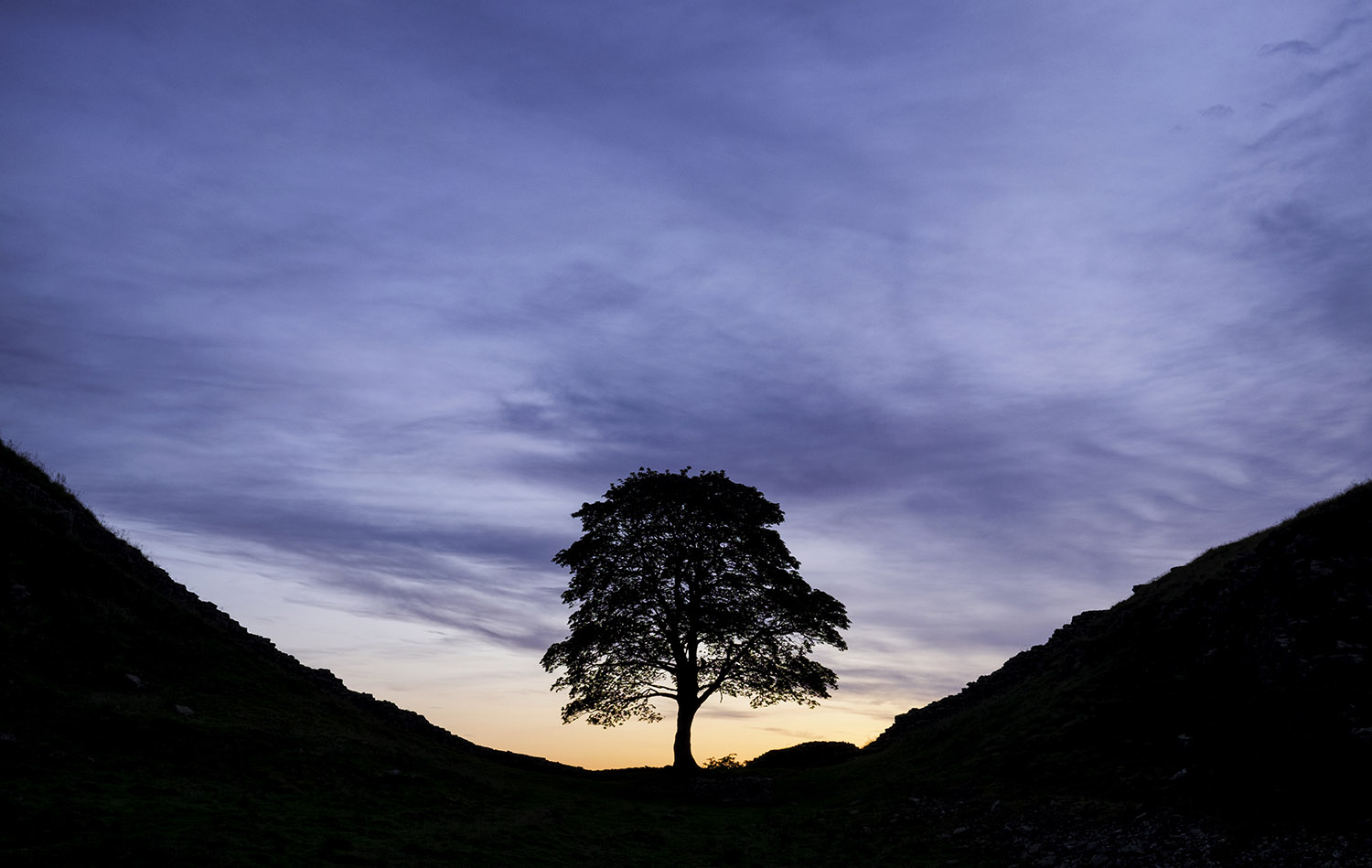 The Sycamore Gap trial ‘was as if someone had been murdered’