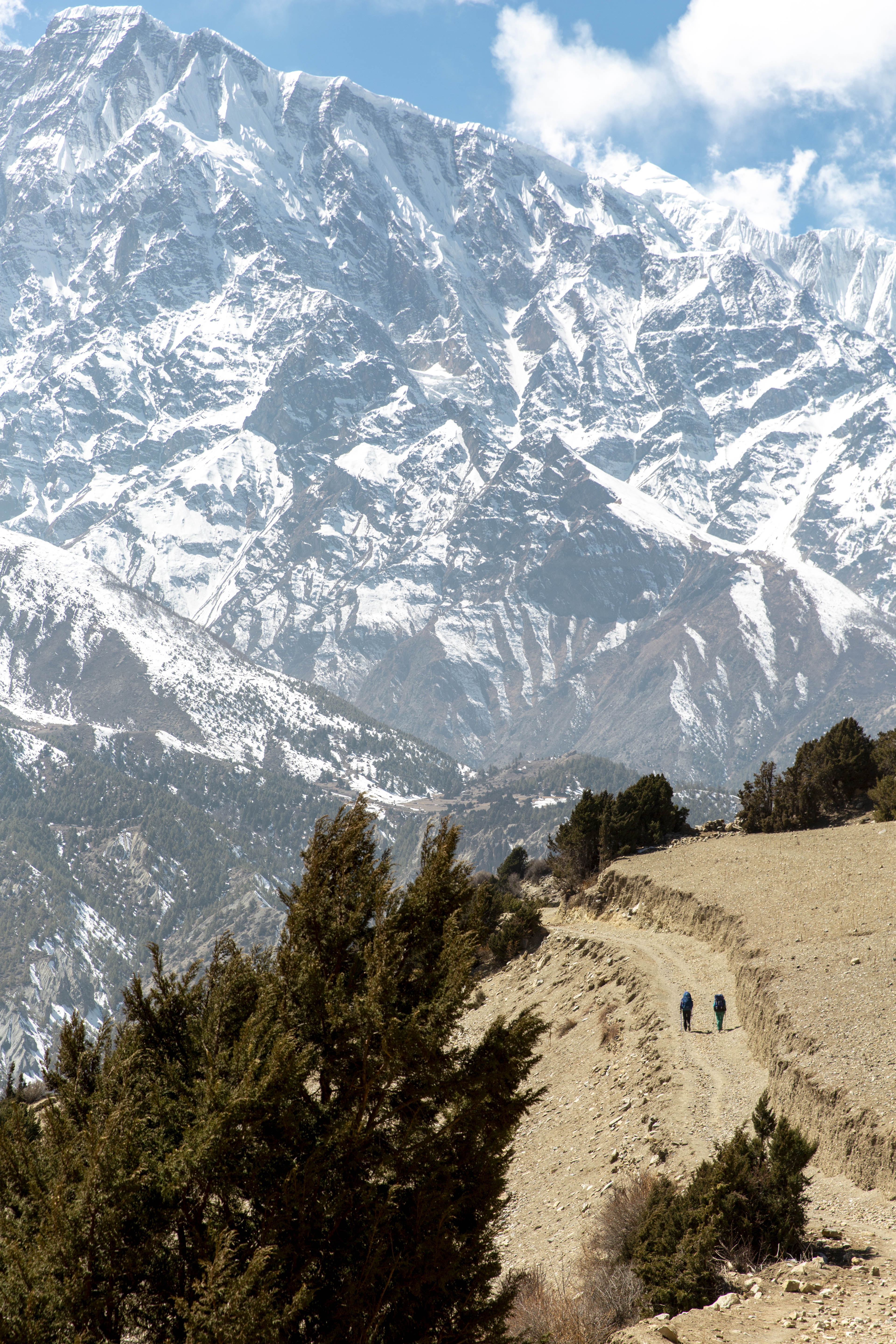 The long and winding path: hikers on the trail towards Annapurna