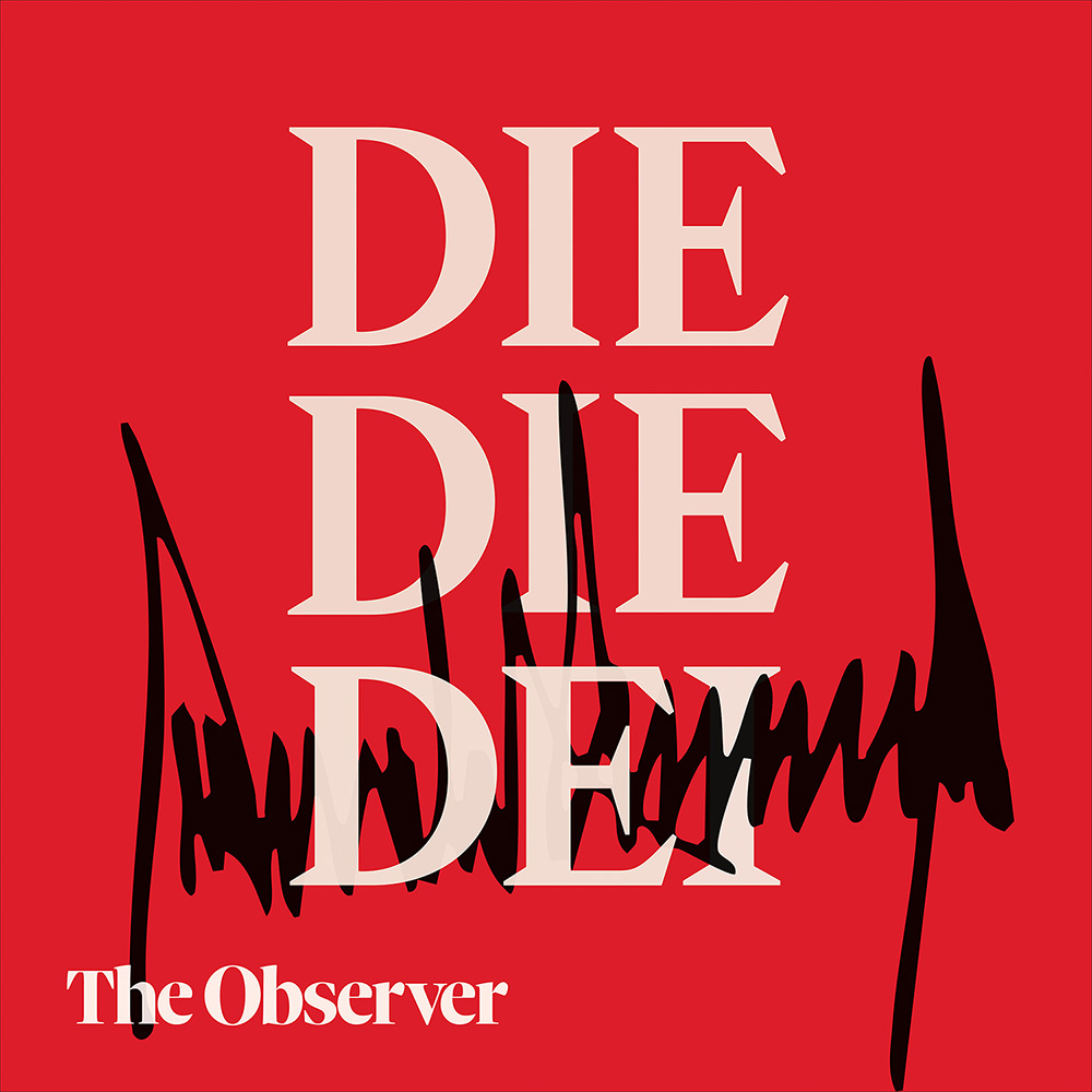 Die Die DEI