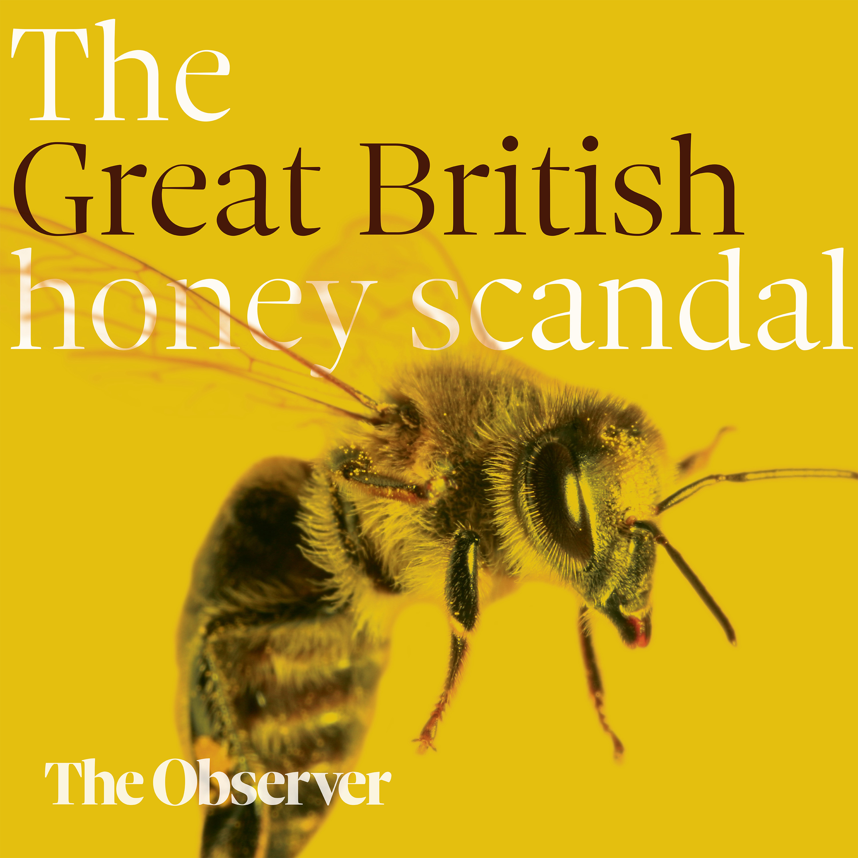 The Great British honey scandal