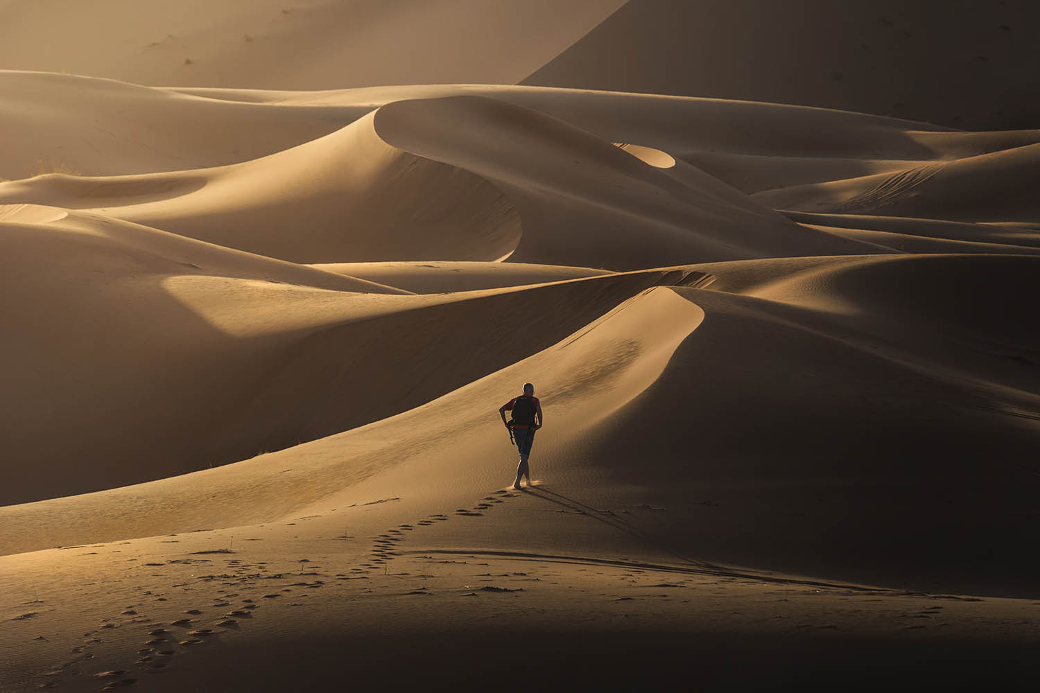 Crime and thrillers of the month: blood and sand