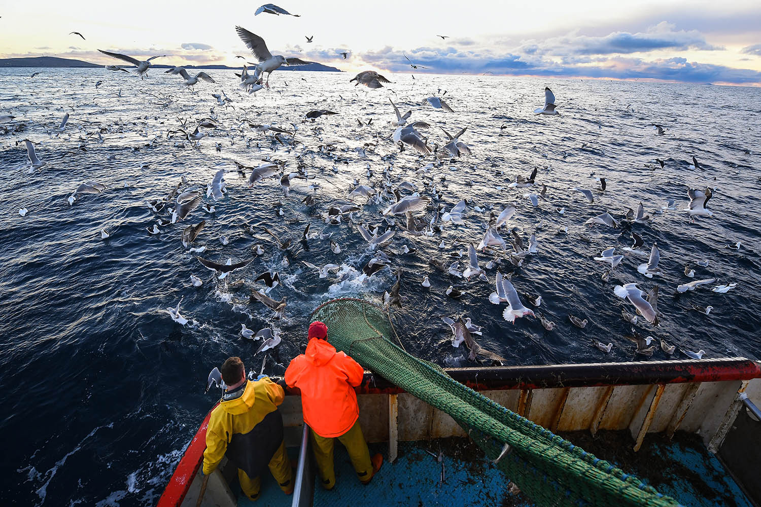 Alexandra Cousteau: ‘We must honour our oceans before its too late’