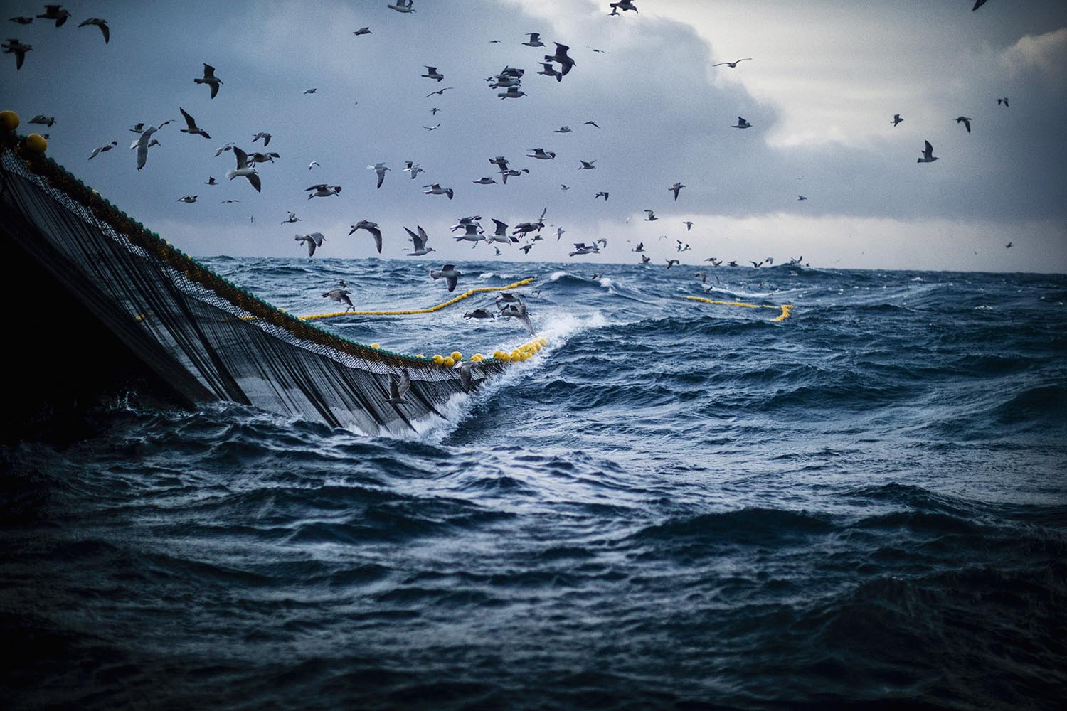 300 trawlers defy deep-sea fishing ban