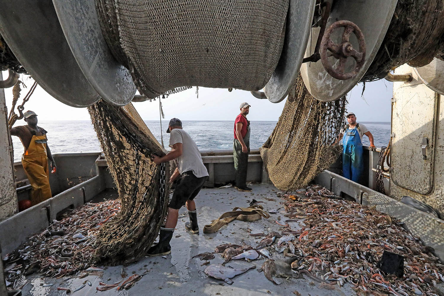 Oceans summit ends in failure to protect marine life