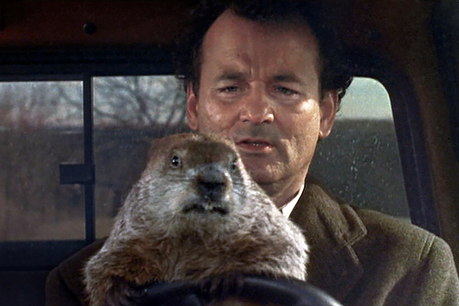Watch out Lewis, Punxsutawney Phil could be F1’s next big thing