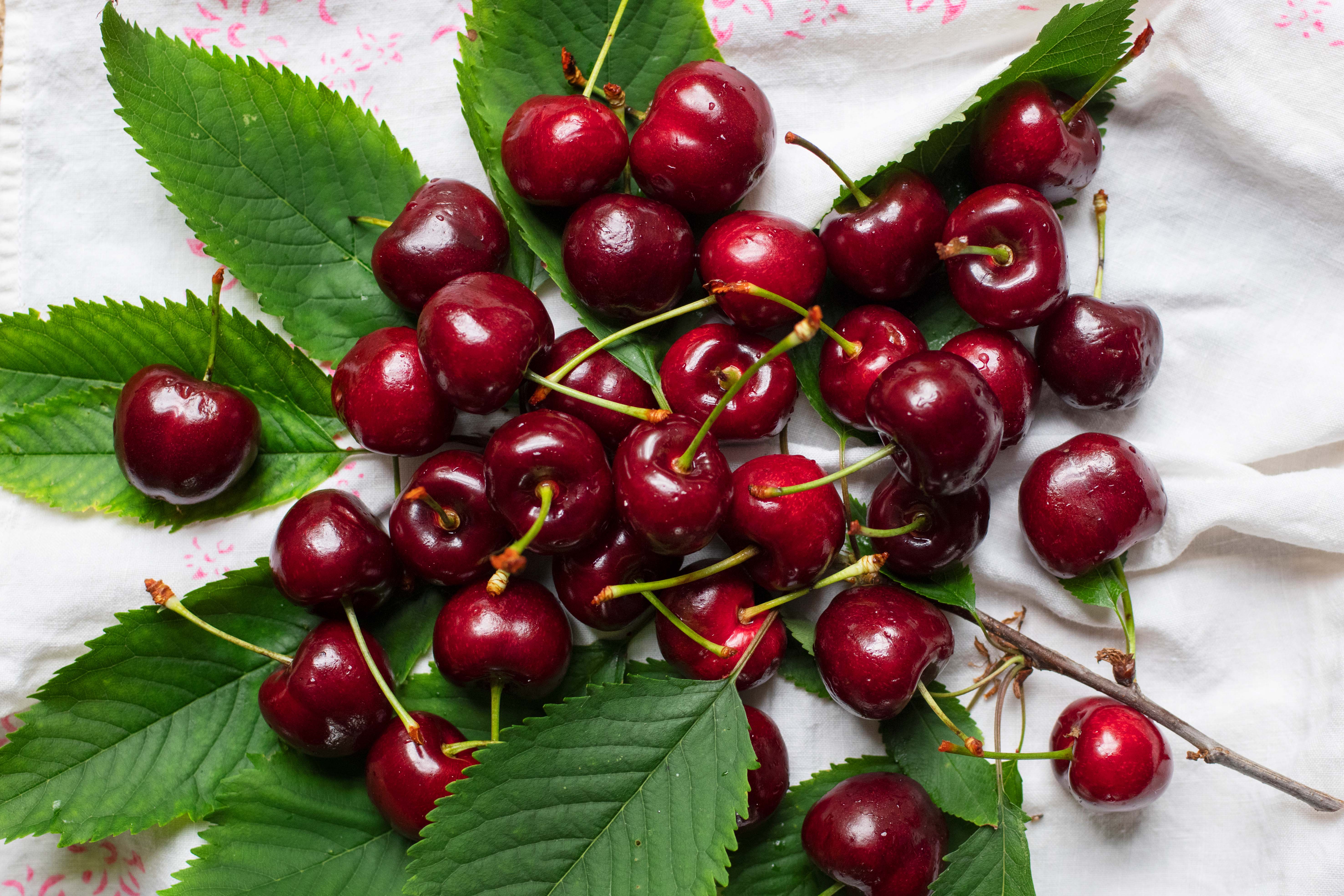 Nigel Slater’s kitchen diary: cherries, gorgeous fresh or baked