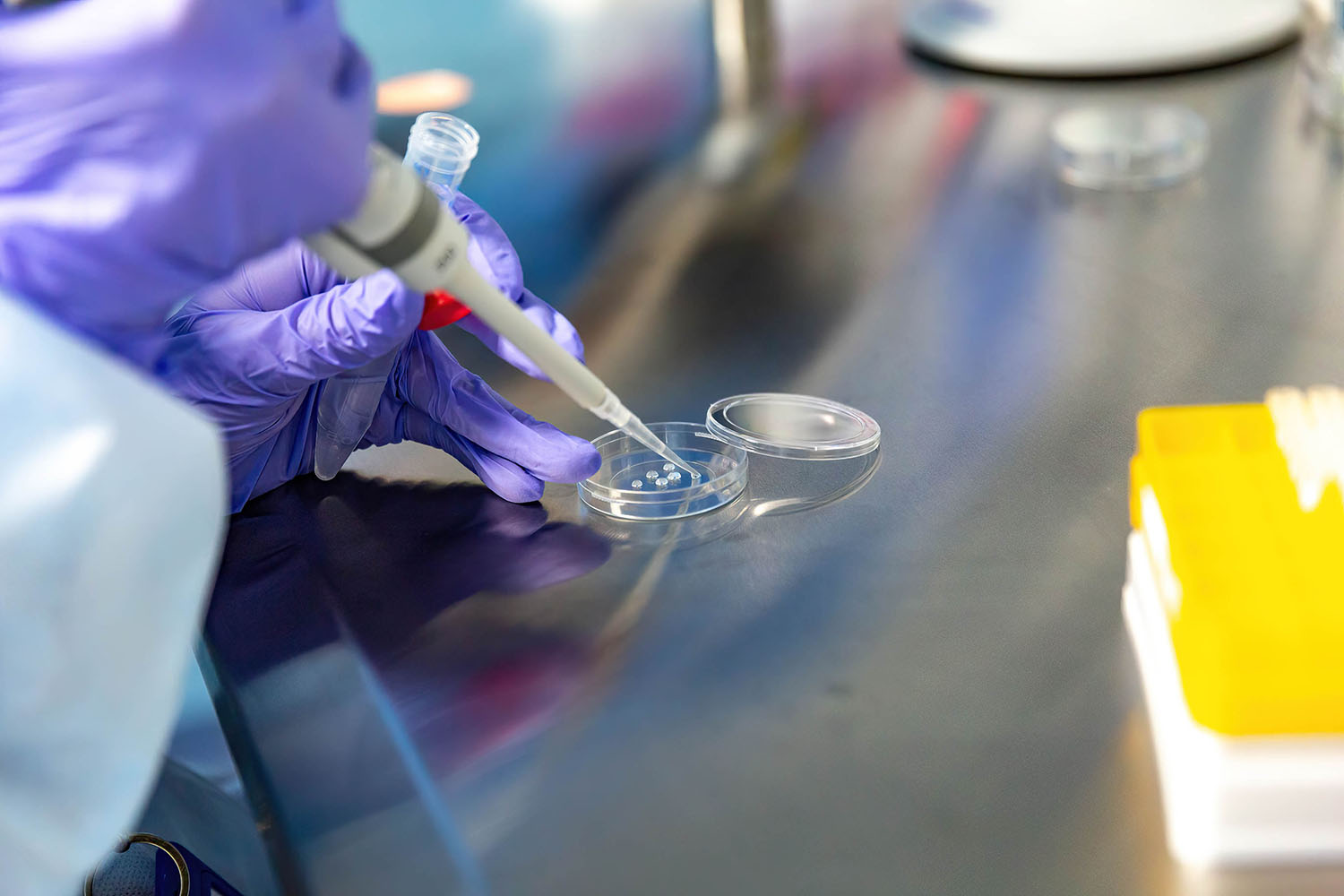 Fertility funding soars as global birthrates fall