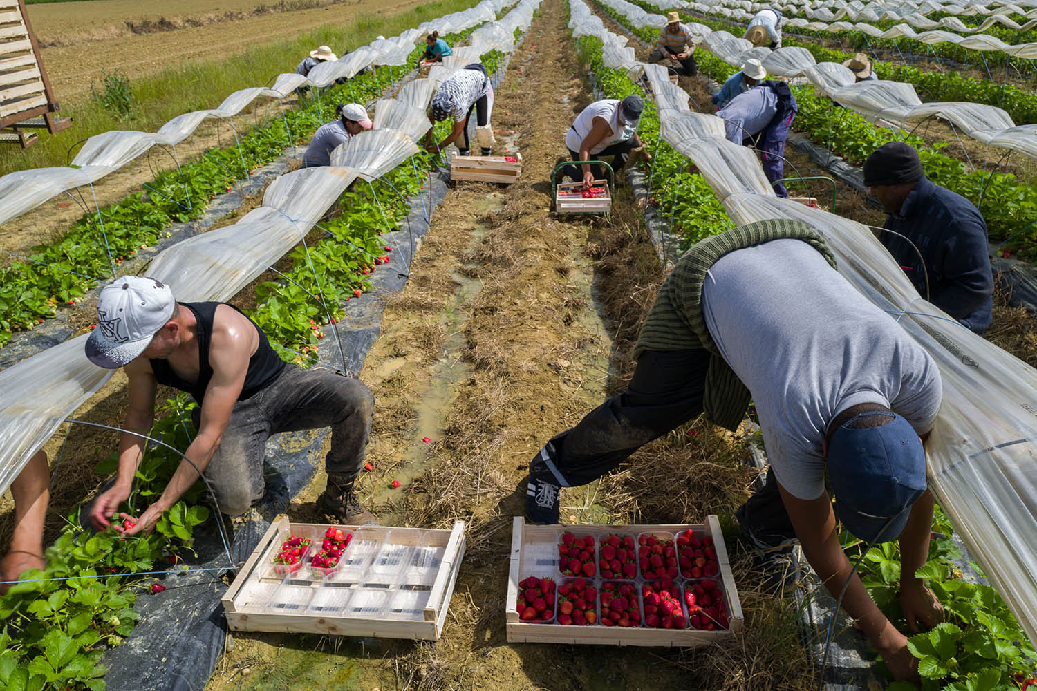 Unless we look after farmers, our food supply is at risk
