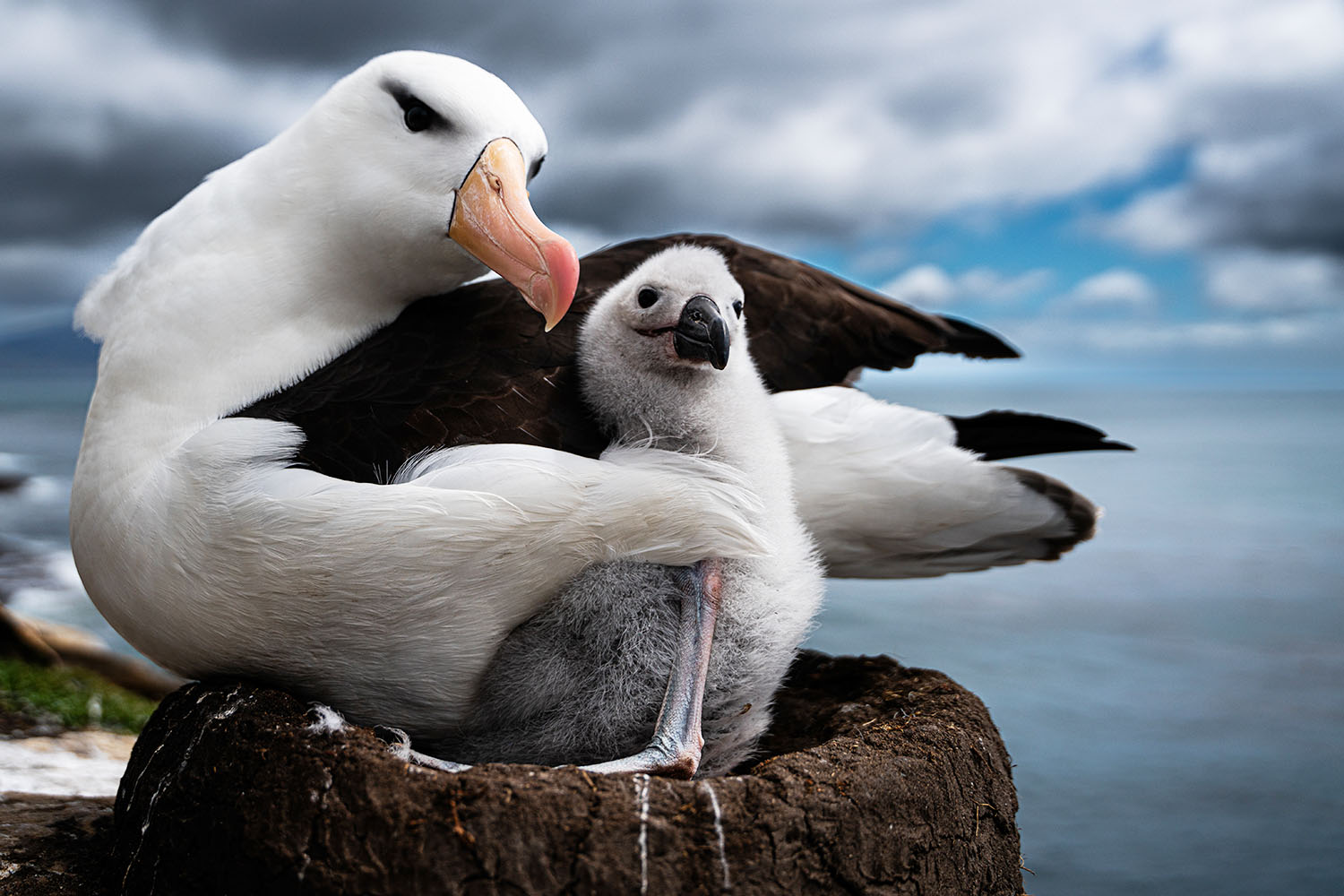 one of article images