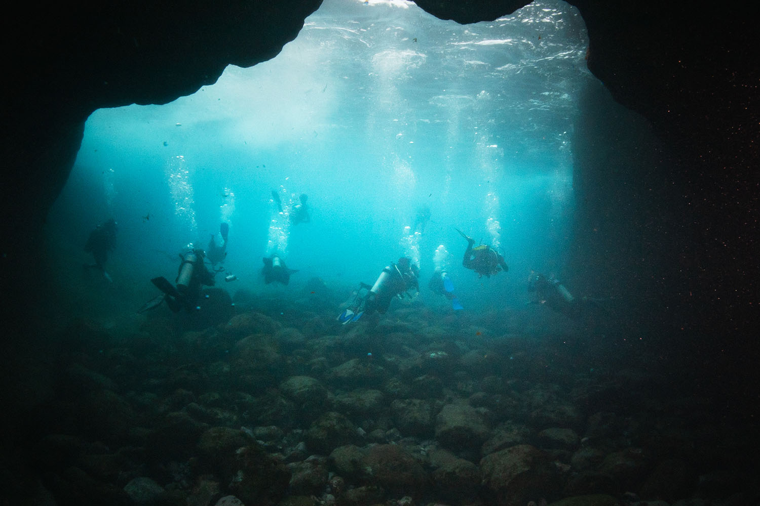 Members of the Darwin200 team dive off the coast of Brazil in 2023