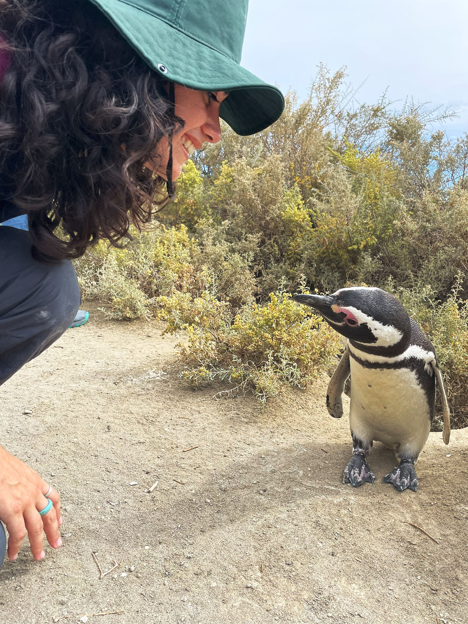 Darwin200's Clara Borba de Cerqueira meets a penguin colony in El Pedral in Patagonia