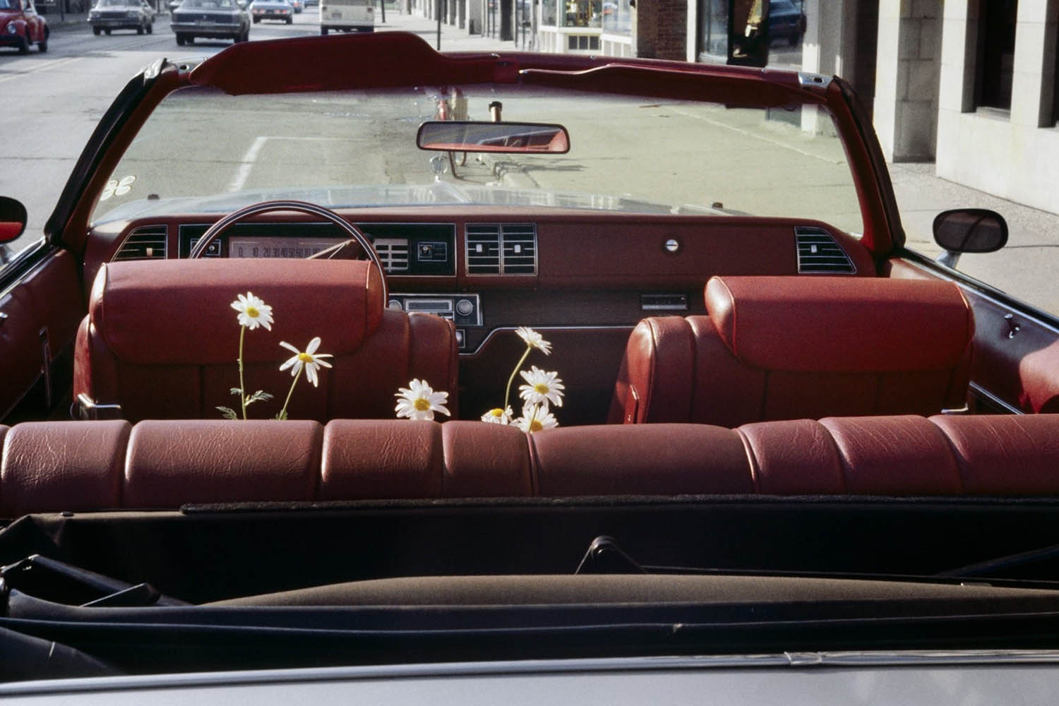 The big picture: Vivian Maier’s backseat daisies