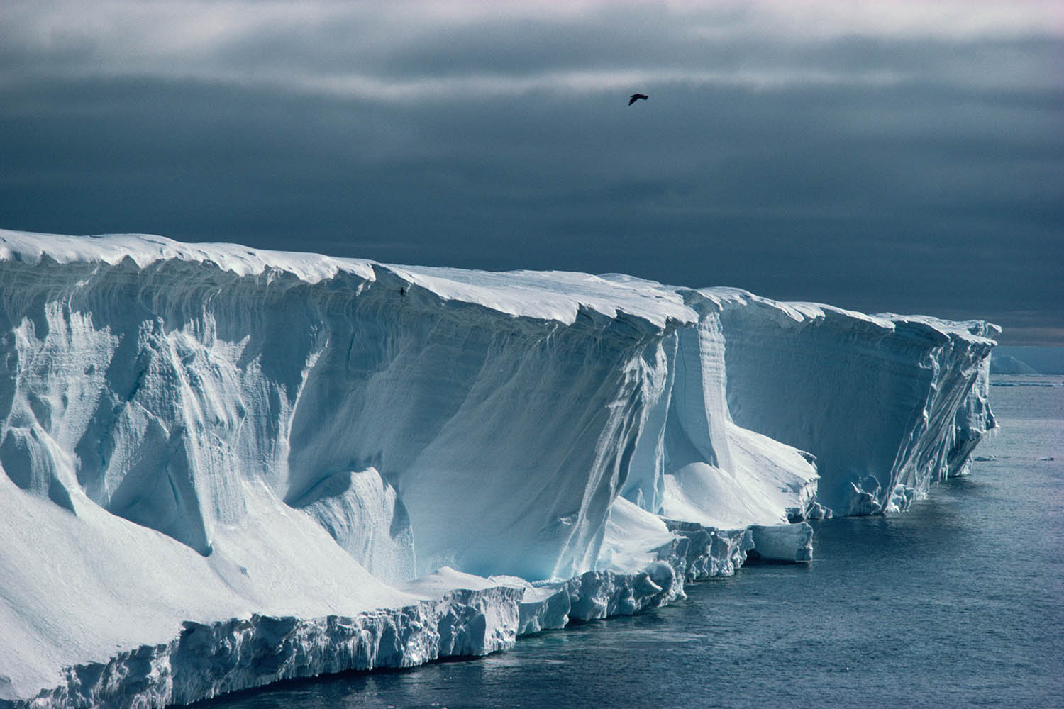 Global rise in sea levels may be inevitable, experts warn as sci-fi becomes reality