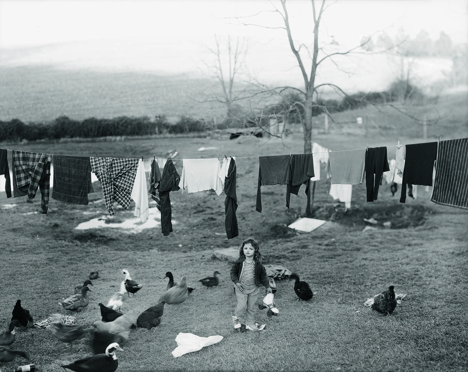 one of article images