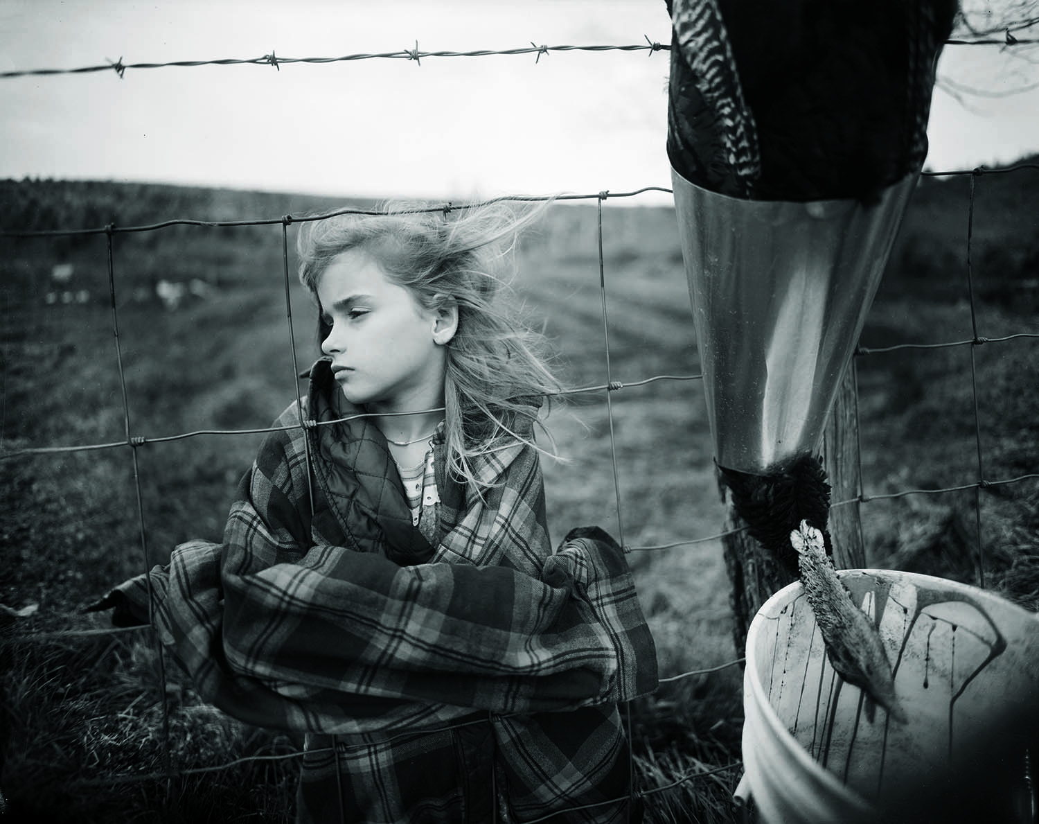 one of article images