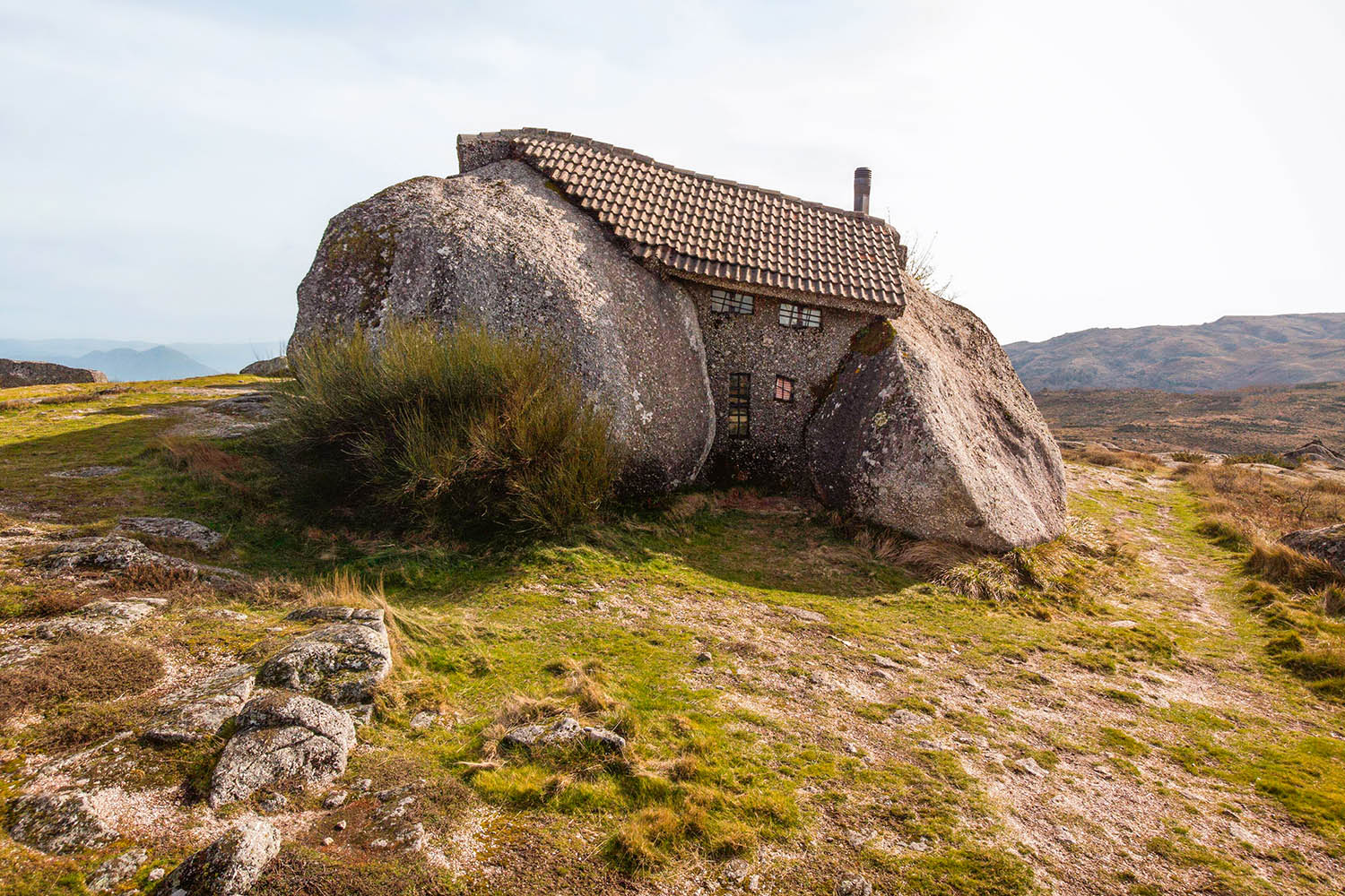 The grid: weird and whimsical buildings