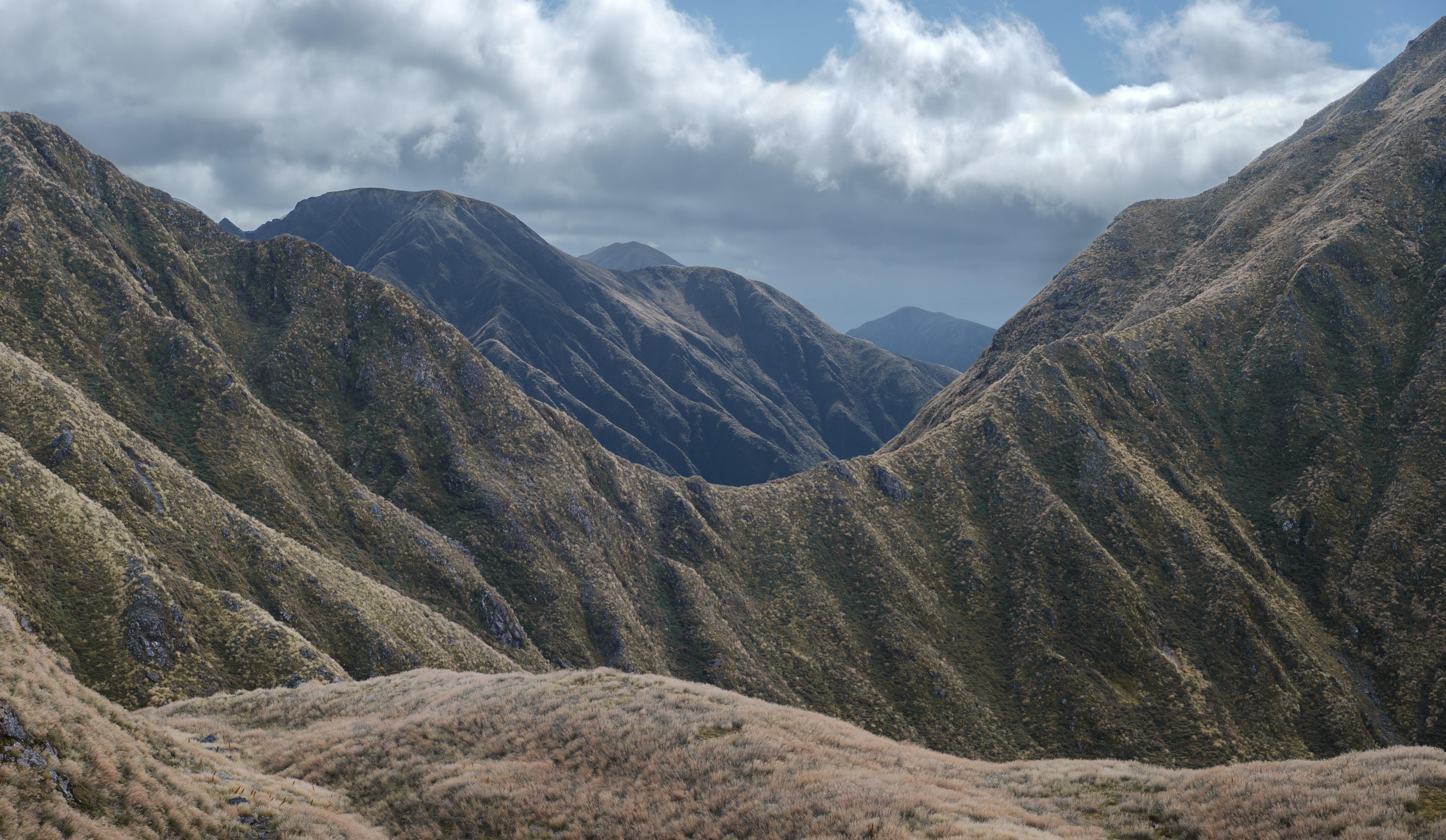 A long way from home: walking across New Zealand