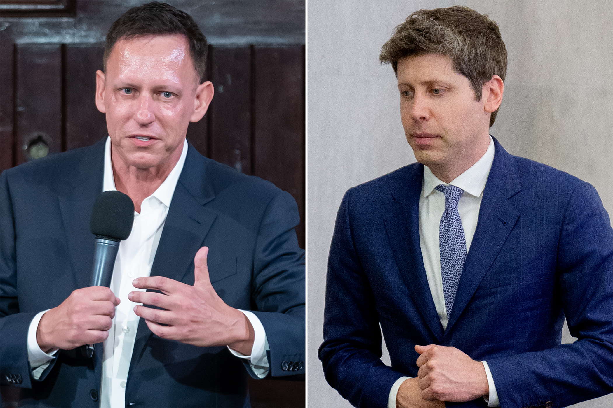 Peter Thiel, co-founder of PayPal, and the OpenAI boss Sam Altman have invested in Minicircle