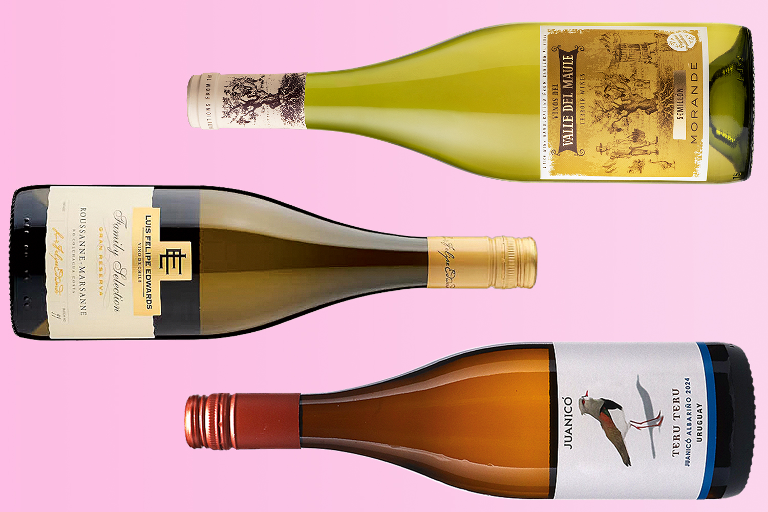 Interesting and original whites from Chile and Uruguay