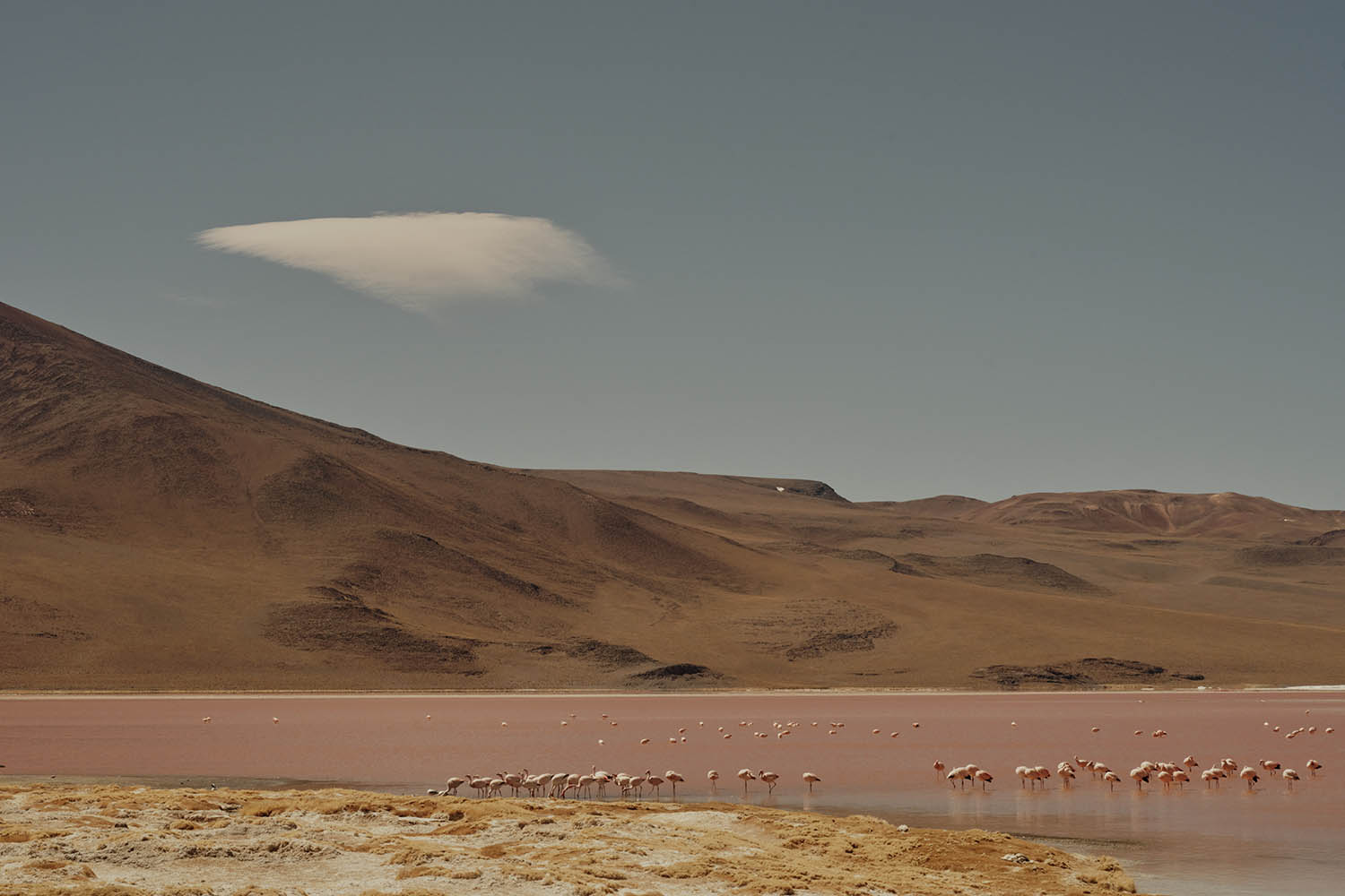 Into thin air: from Chile’s Atacama desert to Bolivia’s salt flats
