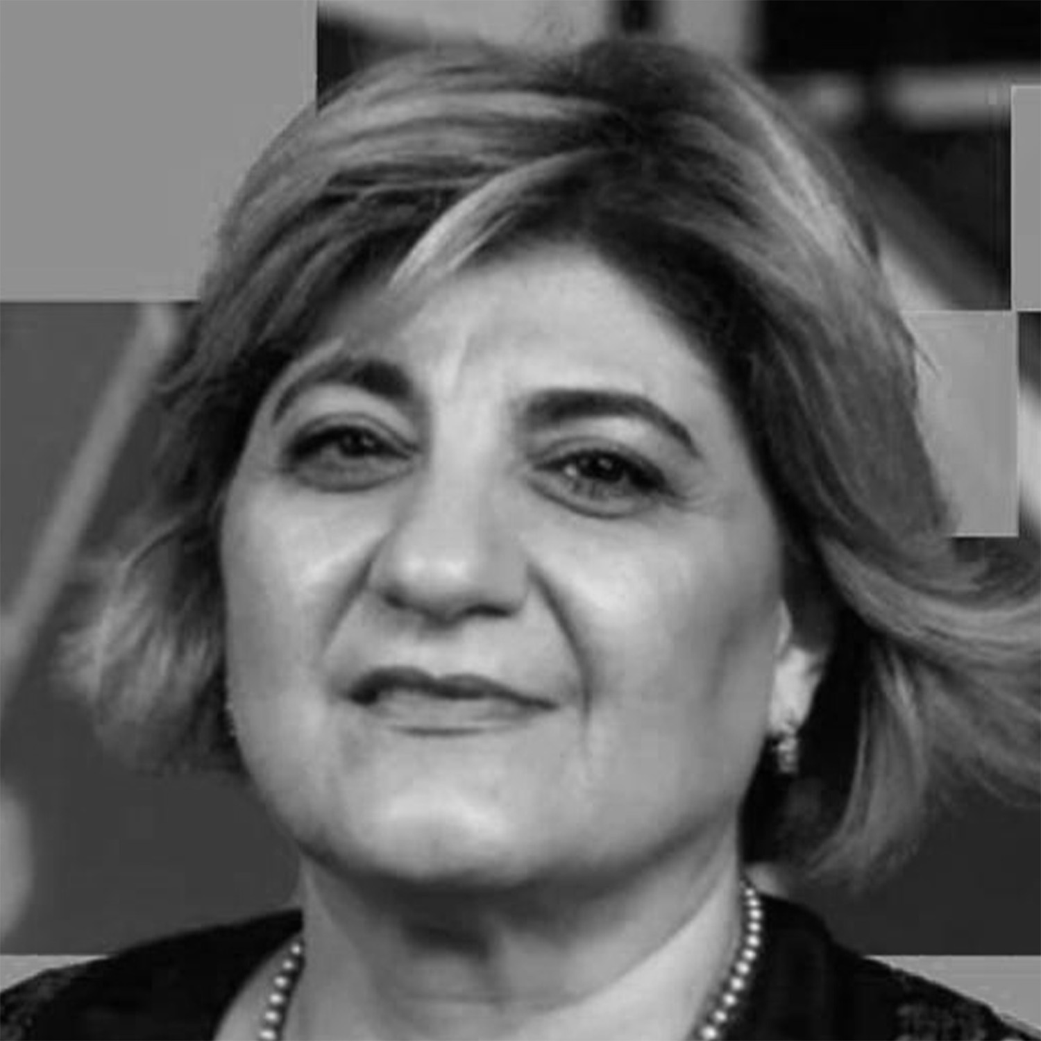 Zimia Zabihyan