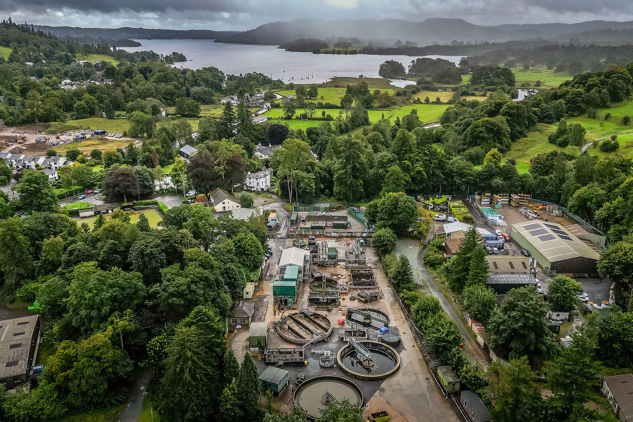 Swamp life takes hold in Windermere
