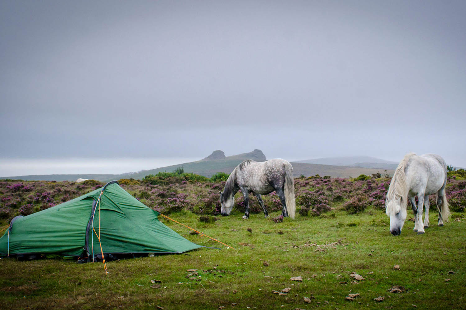 Vast swathes of the English countryside are off-limits