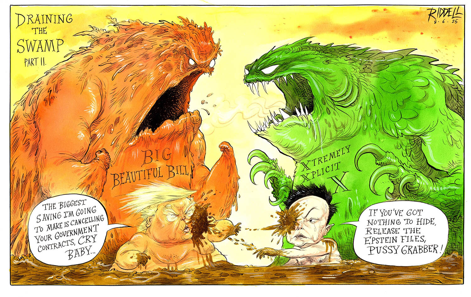 The Chris Riddell cartoon: draining the swamp