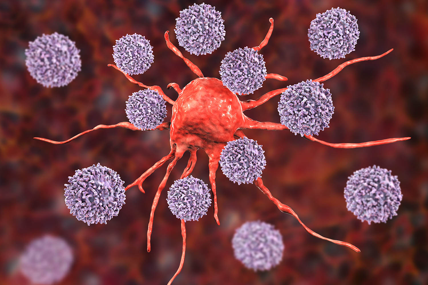 Cancer research ‘set back years’ as visa fees drive scientists away from UK