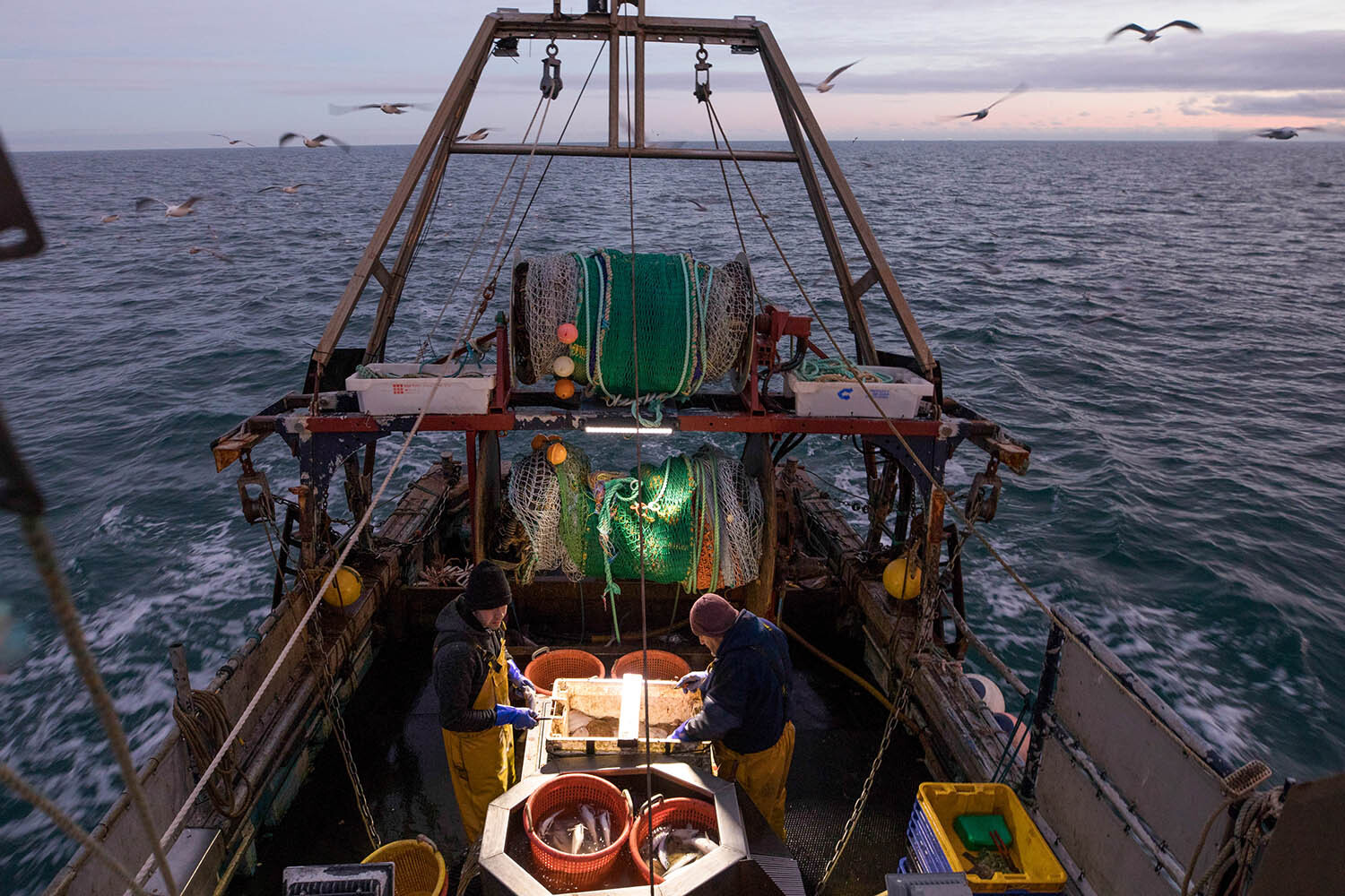 Fishing’s dirty secret spotlit in new Attenborough film
