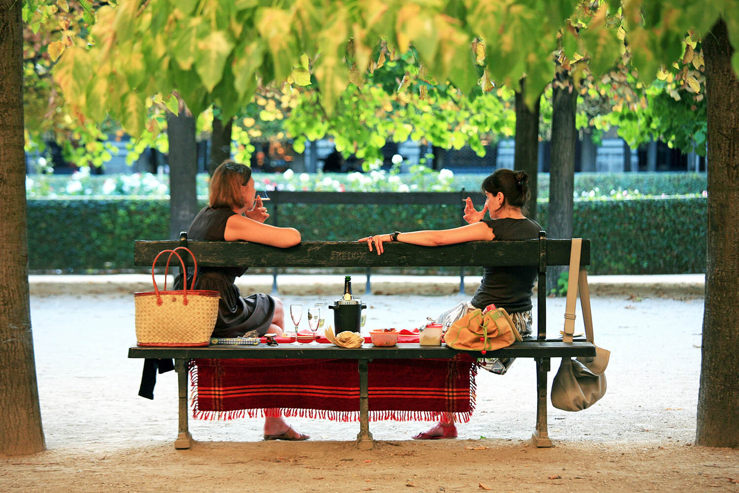 France says au revoir to public smoking