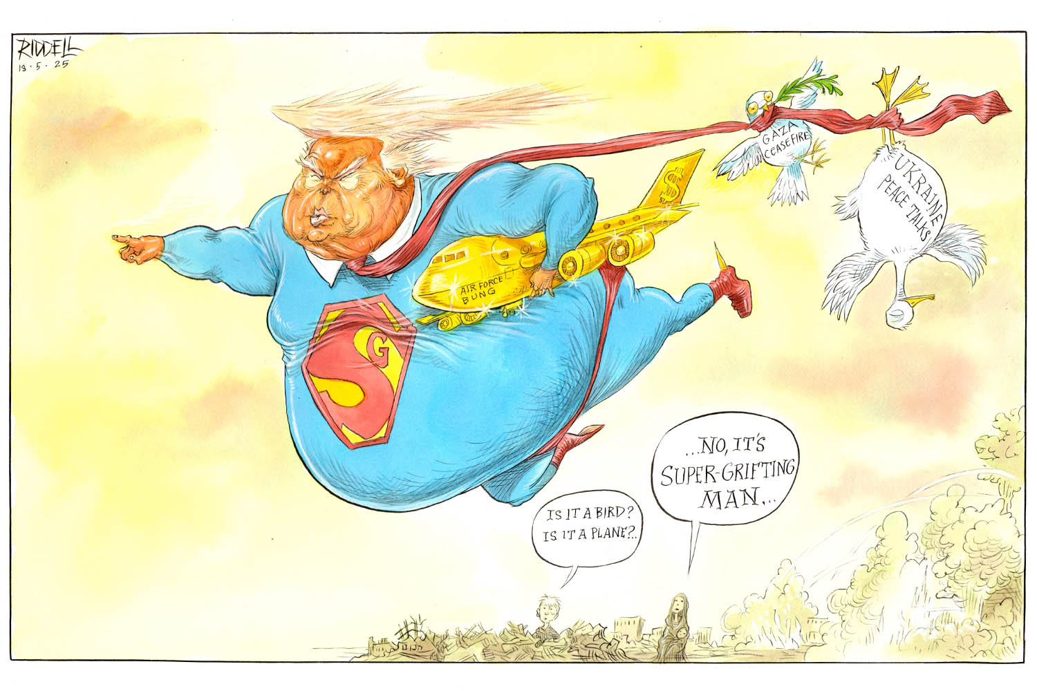 The Chris Riddell cartoon: is it a bird, is it a plane?