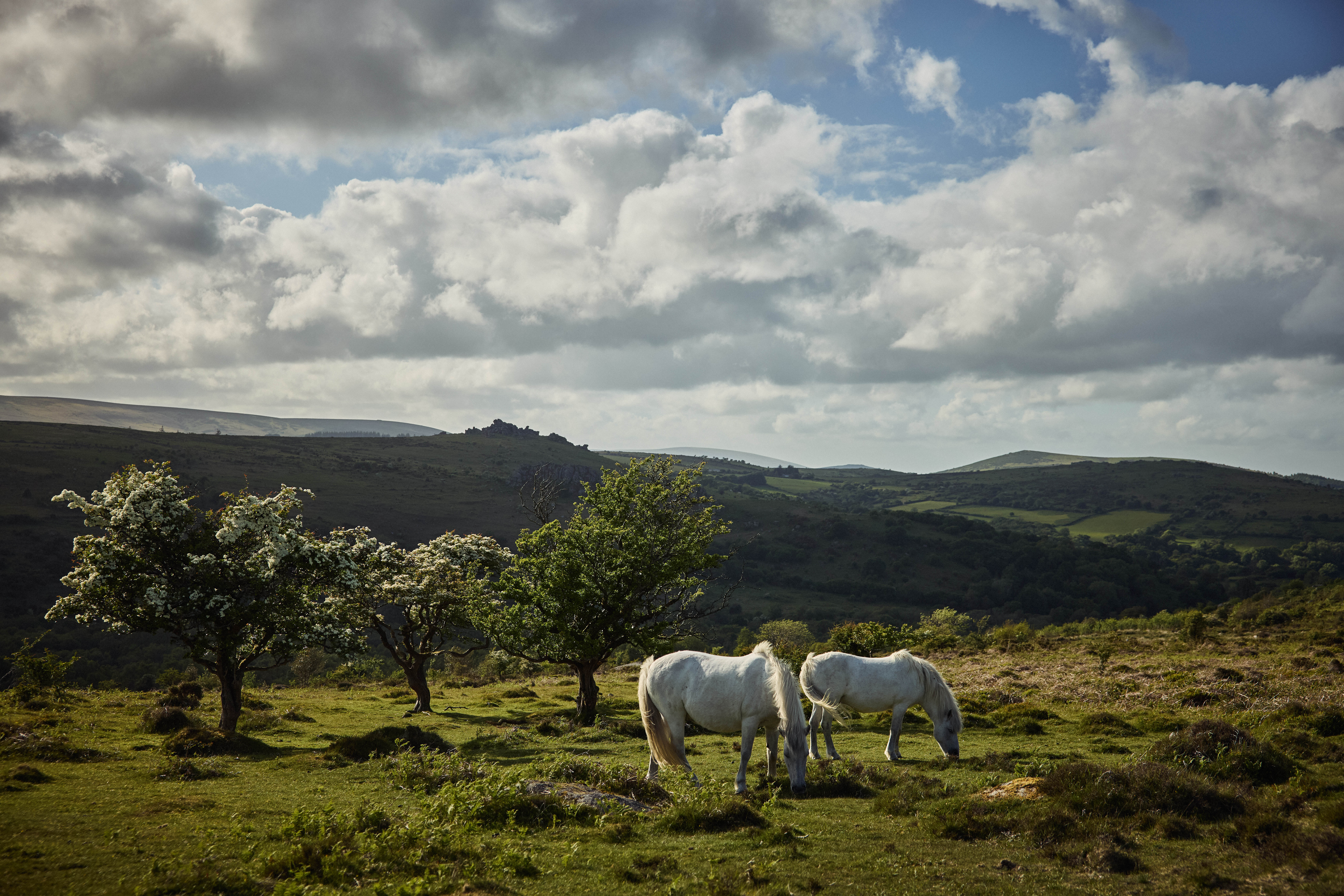 The magic of wild camping on Dartmoor