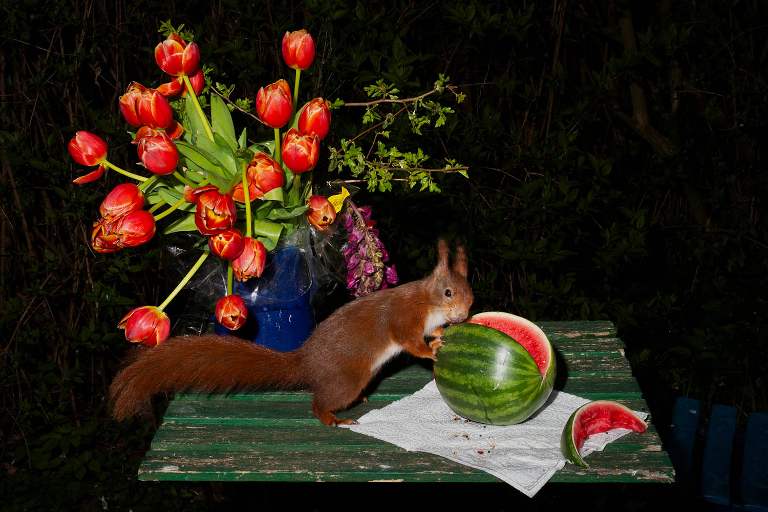 Wild animals enjoying dinner with a difference: Lia Darjes's fantastical still-life photographs